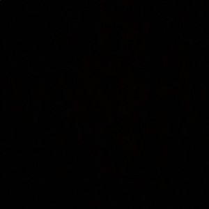 Meet your Posher, Isha